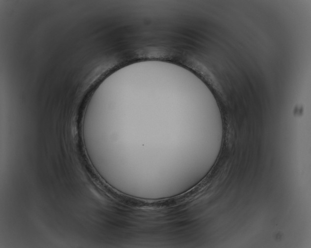 X0000096700251200802121209