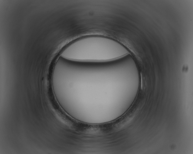 X0000096700252200802121209