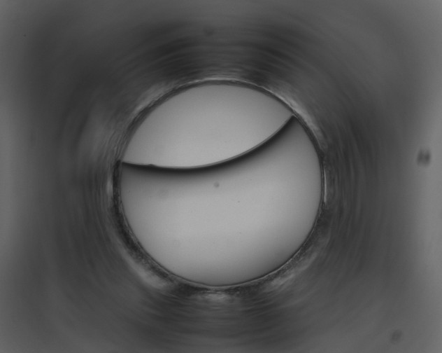 X0000096700253200802121209