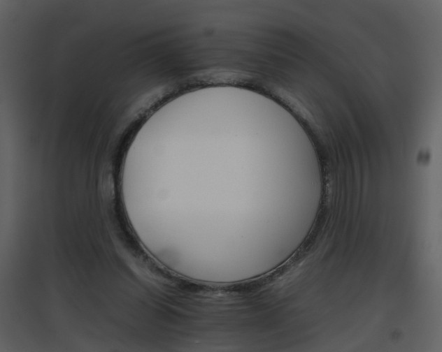 X0000096700254200802121209