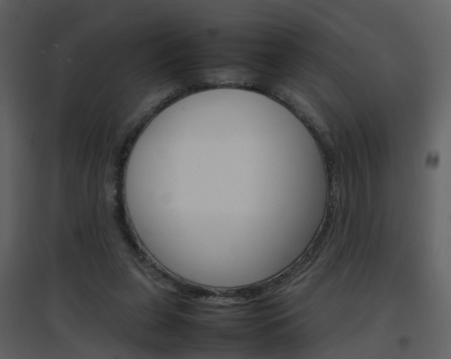 X0000096700255200802121209