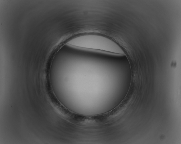 X0000096700256200802121209