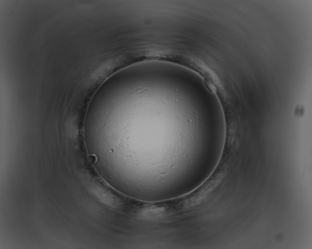 X0000096700257200802121209