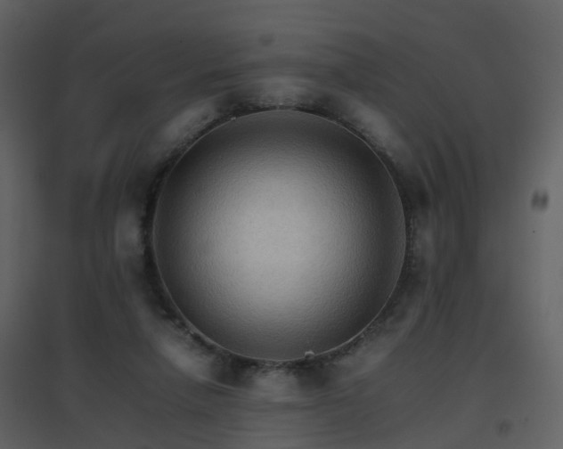 X0000096700258200802121209