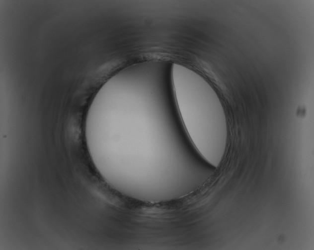 X0000096700259200802121209