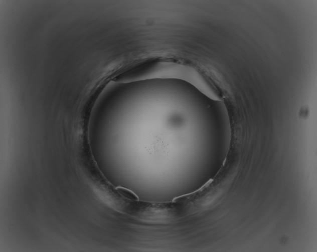 X0000096700260200802121209