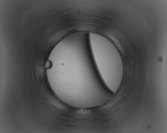 X0000096700261200802121209