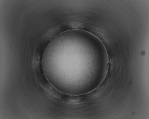 X0000096700263200802121209