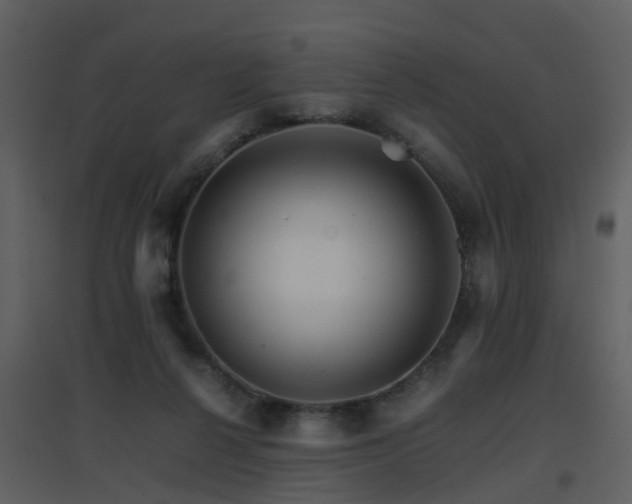 X0000096700264200802121209