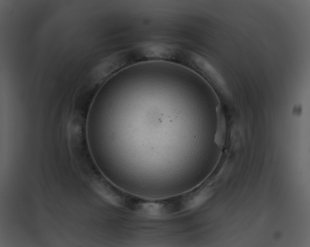 X0000096700265200802121209