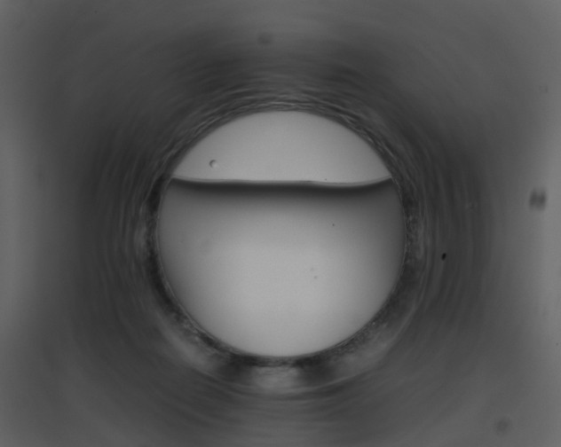 X0000096700266200802121209