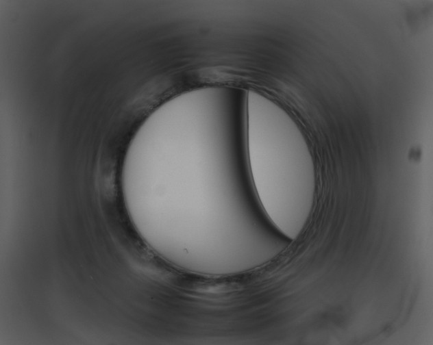 X0000096700267200802121209