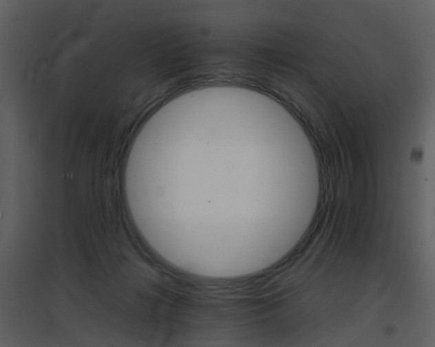 X0000096700268200802121209