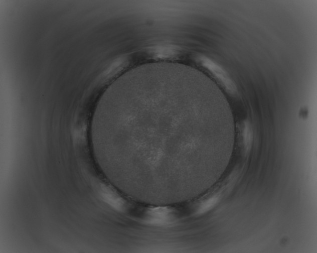 X0000096700269200802121209