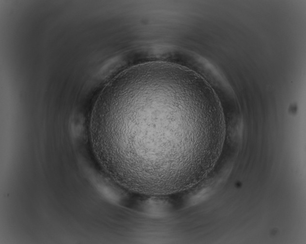 X0000096700270200802121209