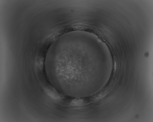 X0000096700271200802121209