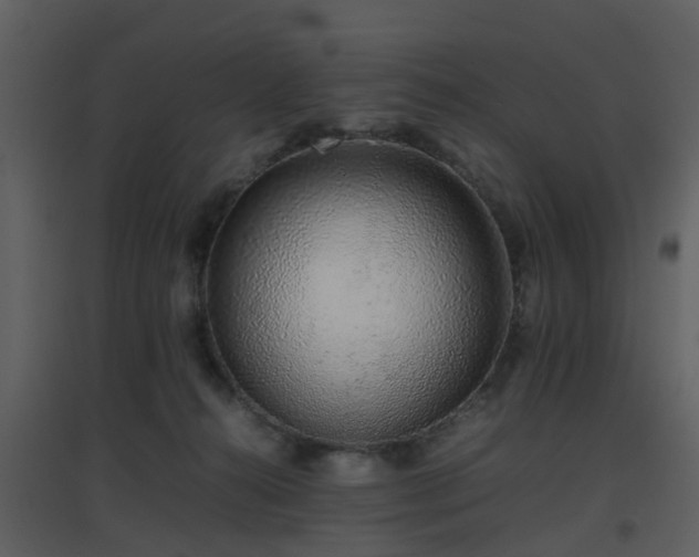 X0000096700272200802121209