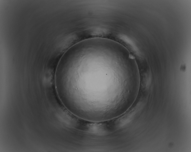 X0000096700273200802121209