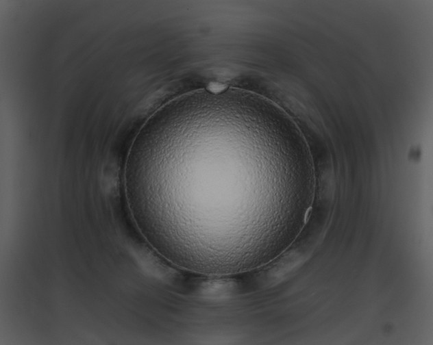X0000096700274200802121209