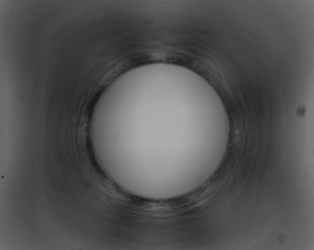 X0000096700275200802121209