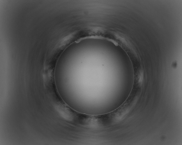 X0000096700276200802121209