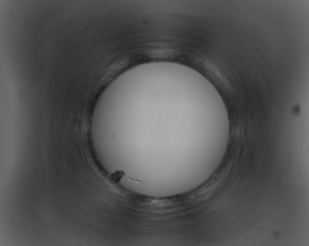 X0000096700277200802121209