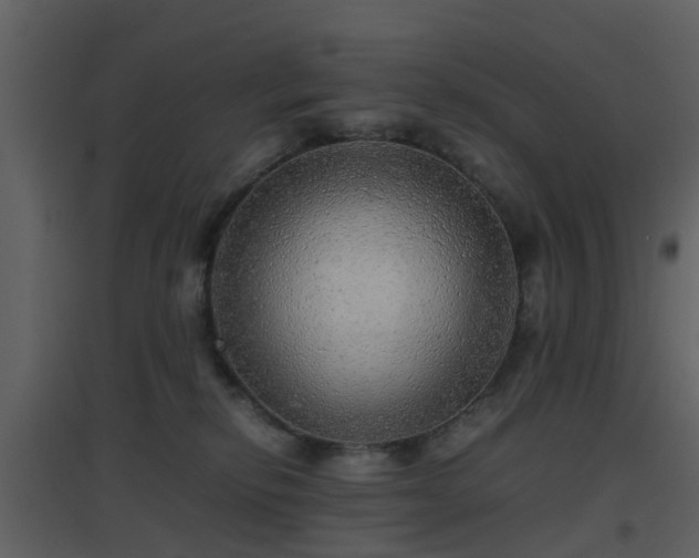 X0000096700278200802121209