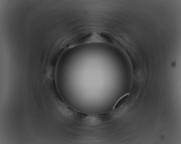 X0000096700280200802121209