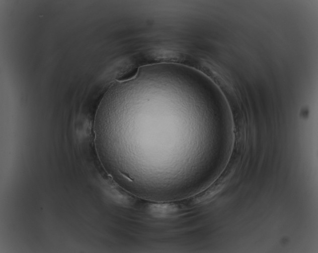 X0000096700281200802121209