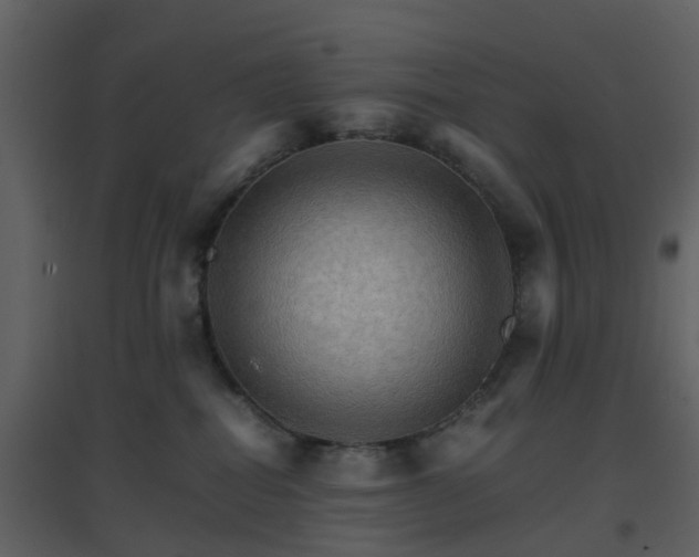 X0000096700282200802121209
