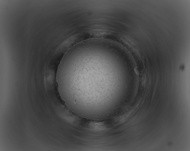 X0000096700283200802121209