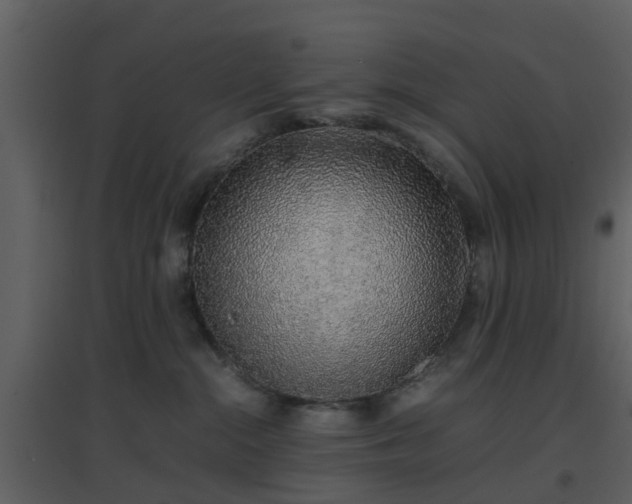 X0000096700284200802121209