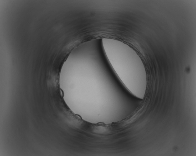 X0000096700285200802121209