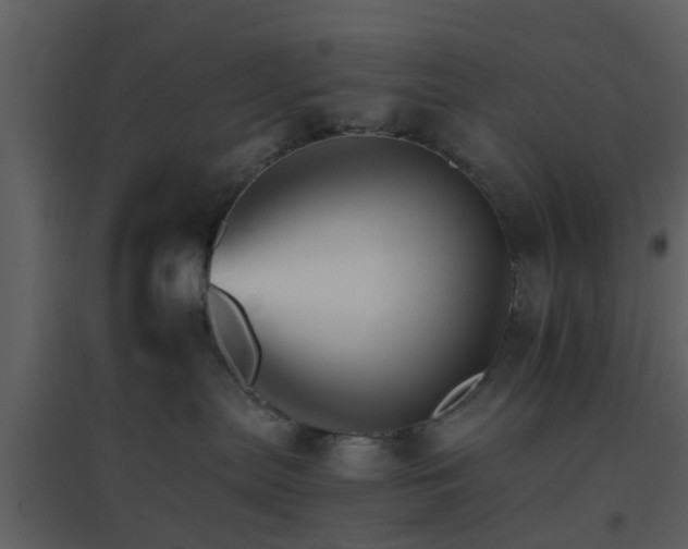 X0000096700287200802121209