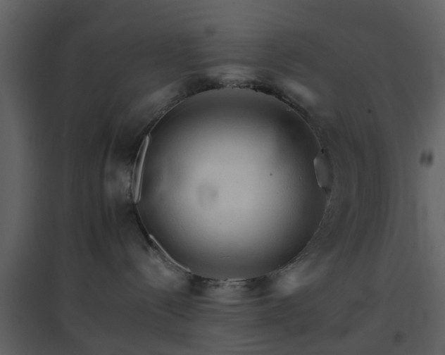 X0000096700288200802121209