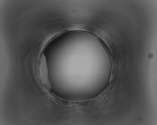 X0000096700289200802121209