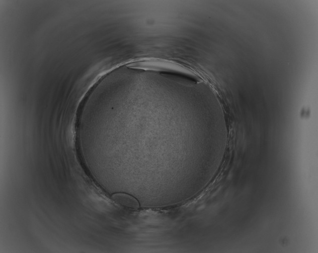 X0000096700290200802121209