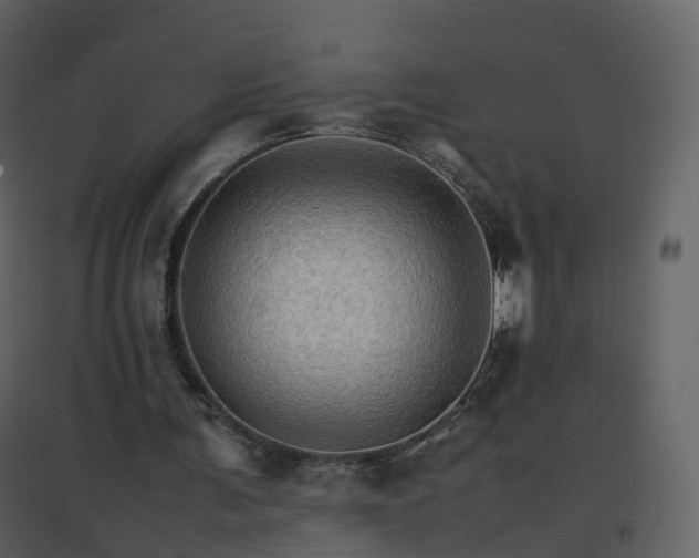 X0000096700291200802121209