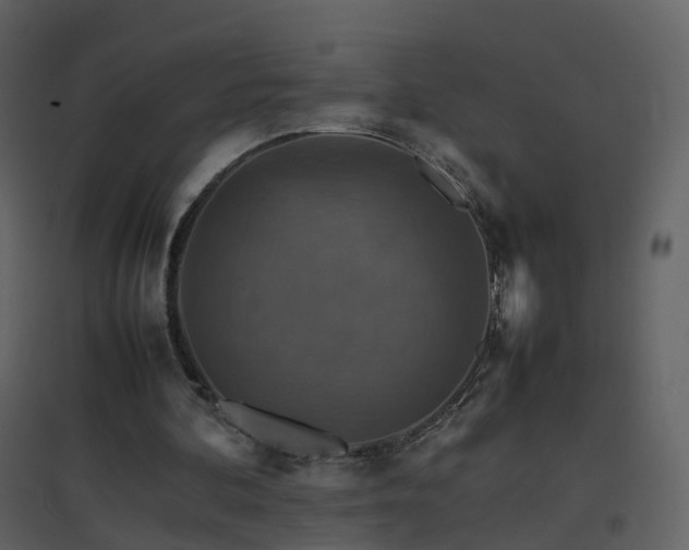 X0000096700292200802121209