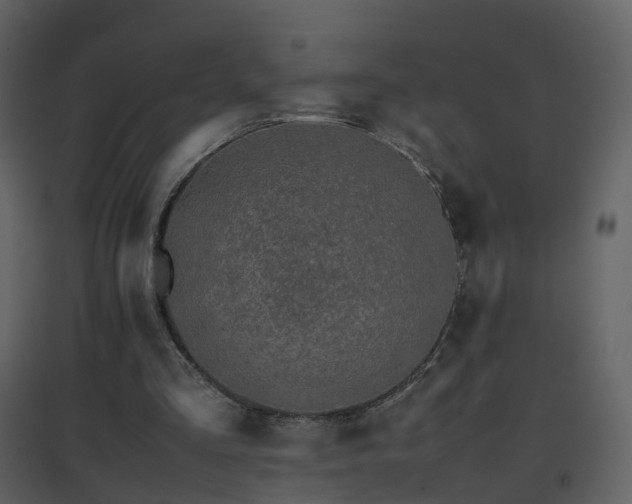 X0000096700293200802121209