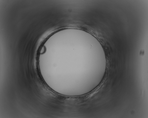 X0000096700294200802121209