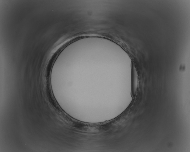 X0000096700295200802121209