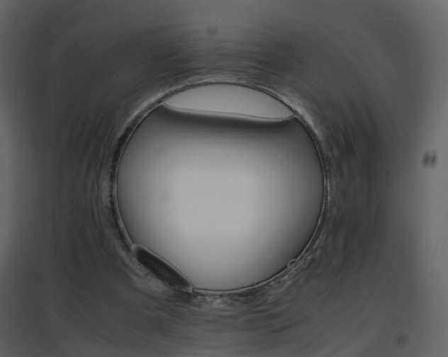 X0000096700297200802121209
