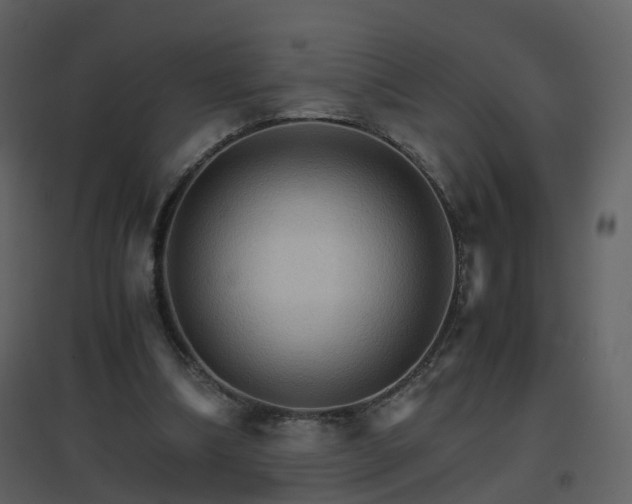 X0000096700298200802121209