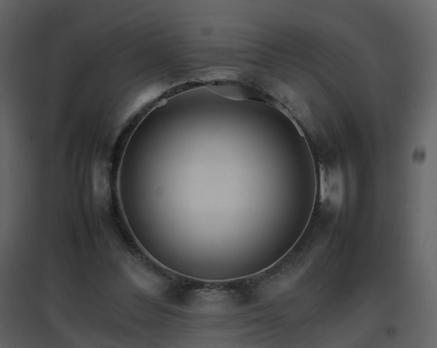 X0000096700300200802121209