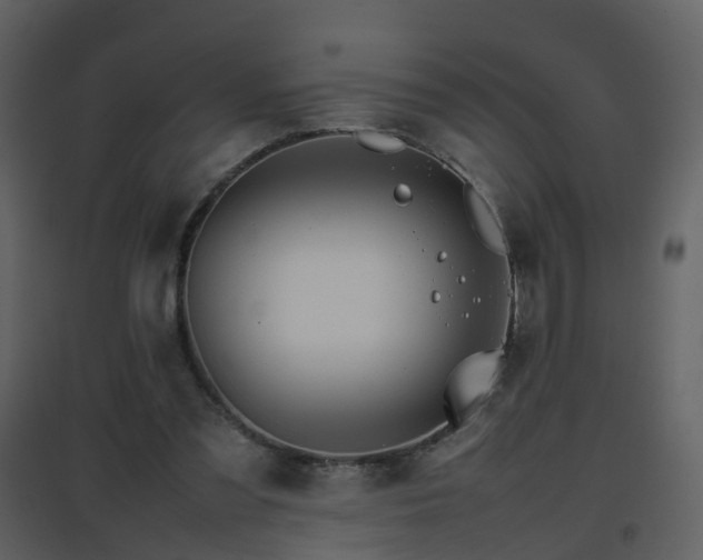 X0000096700301200802121209