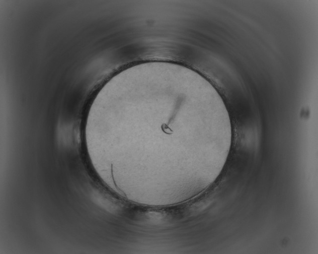 X0000096700302200802121209