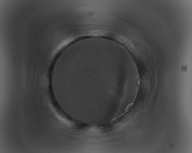 X0000096700303200802121208