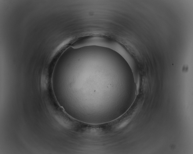 X0000096700304200802121208