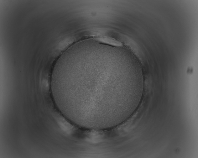 X0000096700305200802121208